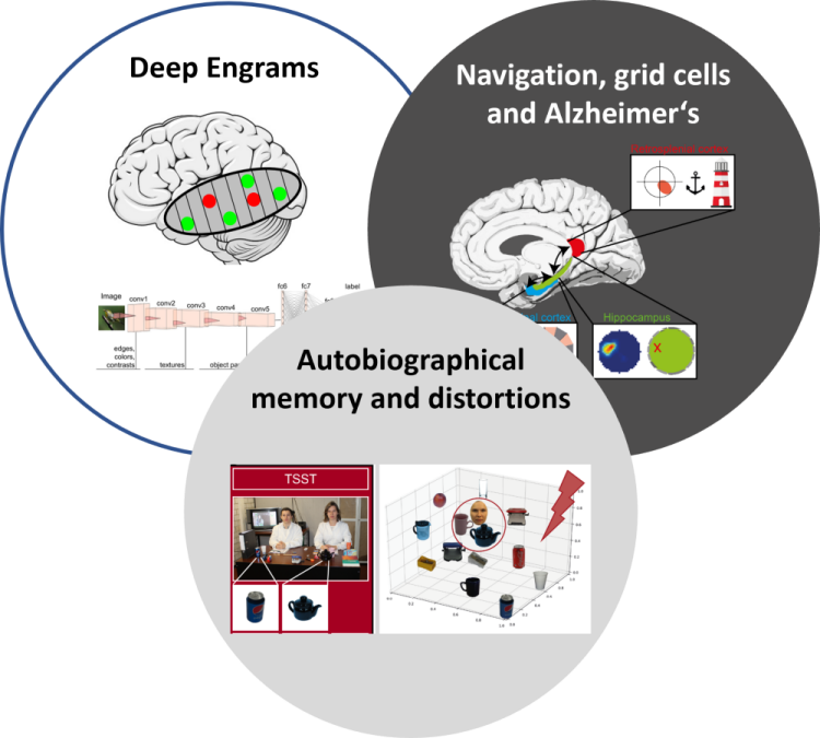 Forschungsschwerpunkte